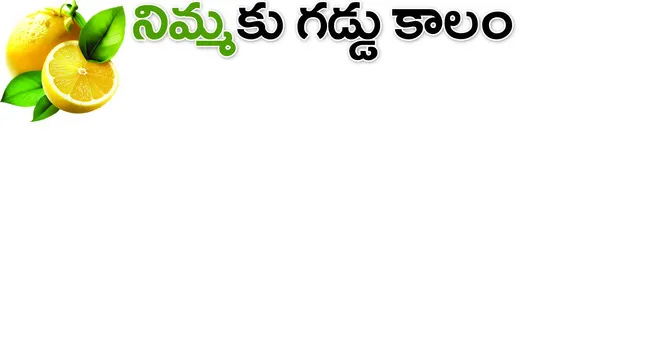  ఇతర 
