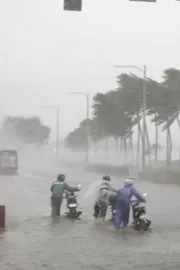 Heavy Rain Likely Across Coastal AP5