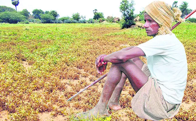 రైతుకు కూటమి శఠగోపం
