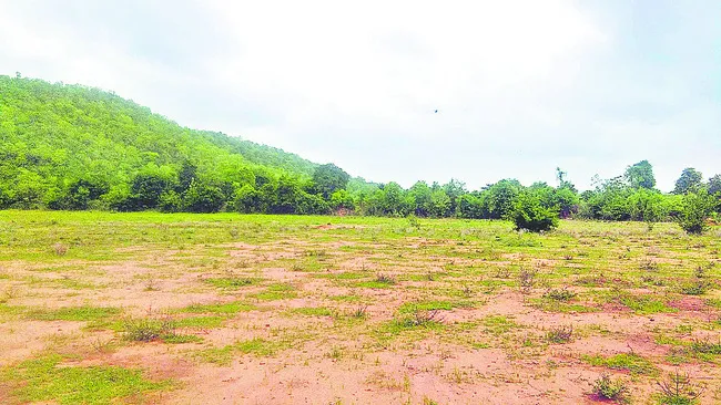 నిషేధిత జాబితా భూములపై ఆరా