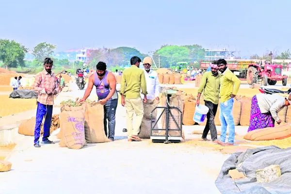 ధాన్యం కొనుగోళ్లకు సన్నద్ధం 