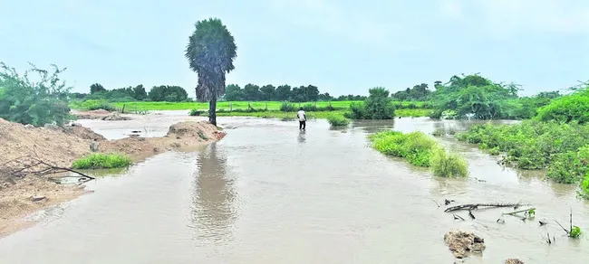 ఎడతెర