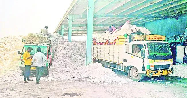 పత్తి