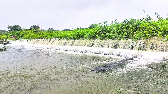 శనివా