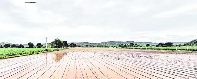 పొంగి