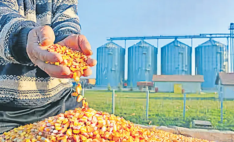 దారిచూపింది గత ప్రభుత్వమే!