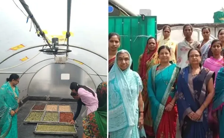 meet Vandana Patil who makes 3 lakhs monthly with Fruits and Vegetables Dehydration