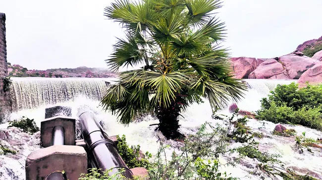 ముంచె