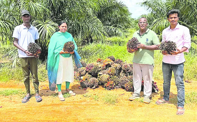 ఆయిల్‌పామ్‌ హబ్‌గా సిద్దిపేట 