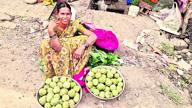చెట్లు తగ్గి ధరలు పెరిగాయి..