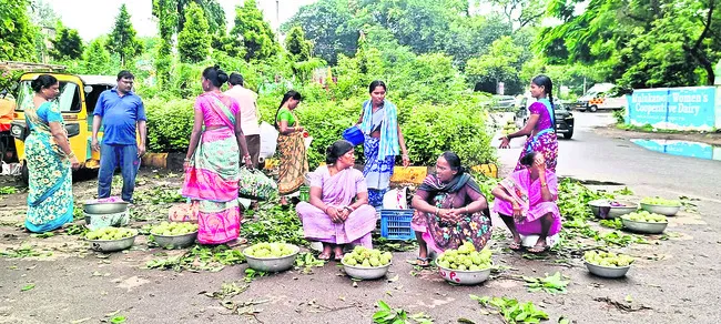 పేదల ఆపిల్‌.. సీతాఫలం