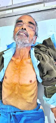 డెంగీ