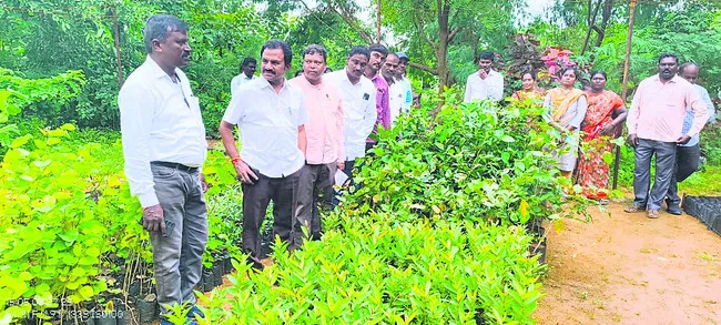 నేడు 
