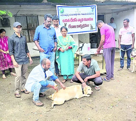 రేబిస్ వ్యాధి నివారణకు టీకాలు