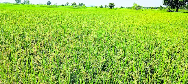 రైతులకు స్వల్ప ఊరట