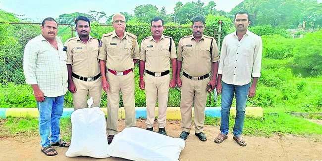 22 కేజీల గంజాయి పట్టివేత