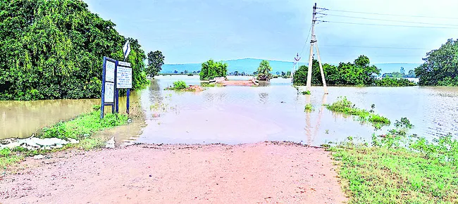పెరుగ