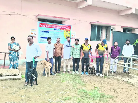 పెంపుడు జంతువులకు టీకాలు తప్పనిసరి  