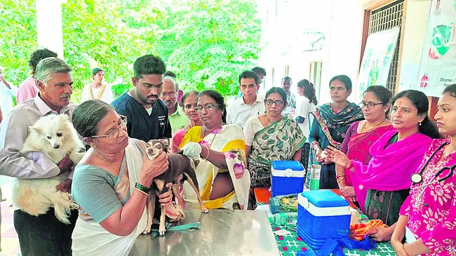 రేబిస్‌తో బీకేర్‌ఫుల్‌