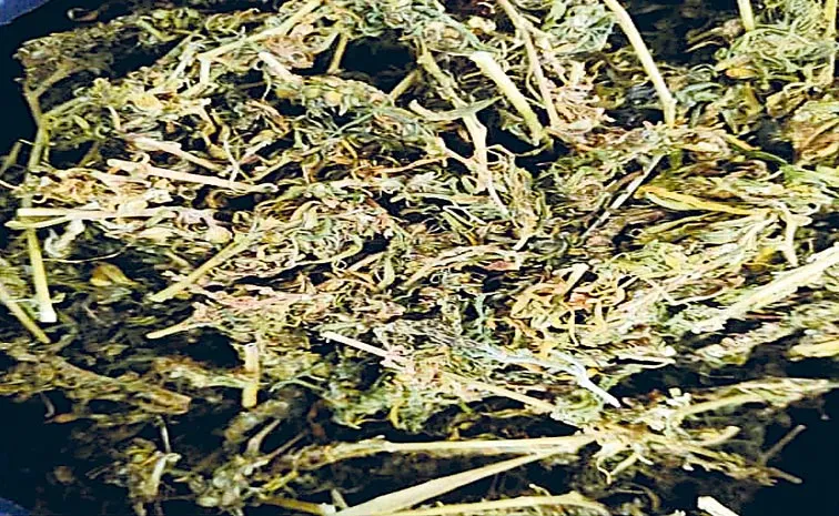 NCB Collaborates with Indian Railways to Strengthen Fight Against Drug Trafficking