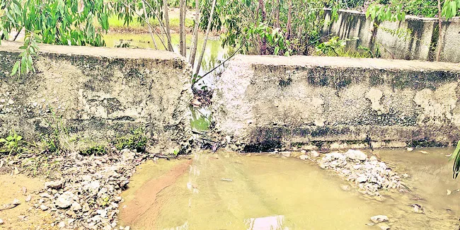 విషం చిమ్ముతున్న ఆహార పరిశ్రమ