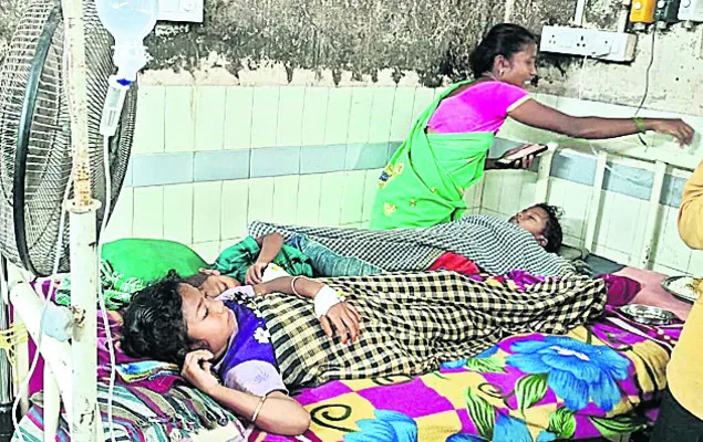 ఇంటిల్లిపాదినీ పట్టిపీడిస్తున్న మలేరియా
