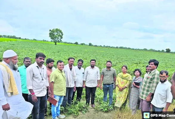 పంటలను పరిశీలించిన శాస్త్రవేత్తలు