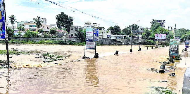 వైఎస్