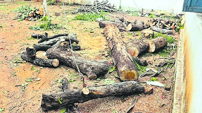 దూర విద్యతో  ఉజ్వల భవిష్యత్తు 