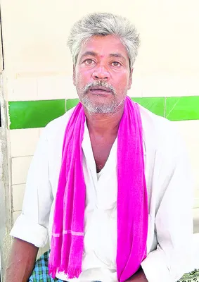 బెడ్ల