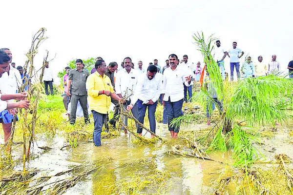 బురదలో దిగి.. పంటలను పరిశీలించి..