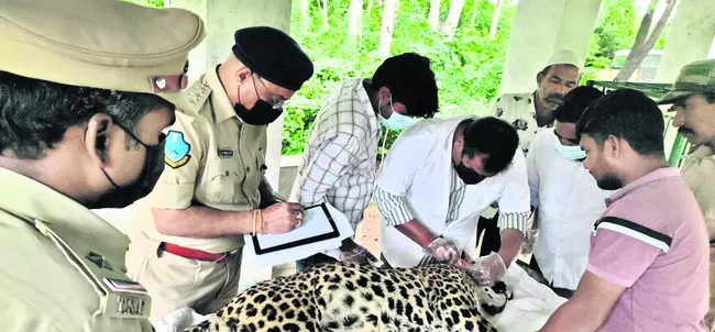 మద్యా