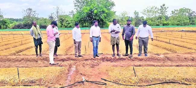 యాజమాన్య పద్ధతులు పాటించాలి