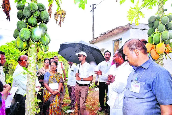 గిట్టుబాటు ధర లేక నష్టపోతున్నాం
