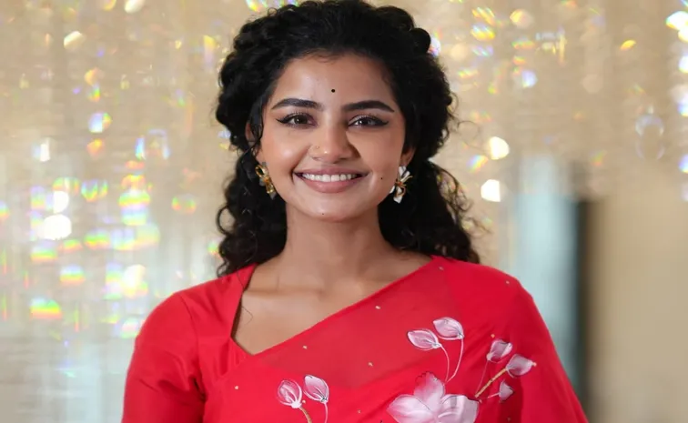 నన్ను ఇంతలా ఎవరు టార్చర్ చేయలేదు.. అనుపమ ఆసక్తికర కామెంట్స్
