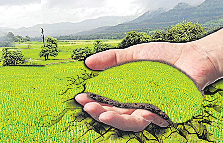 Land acquisition if necessary for the capital