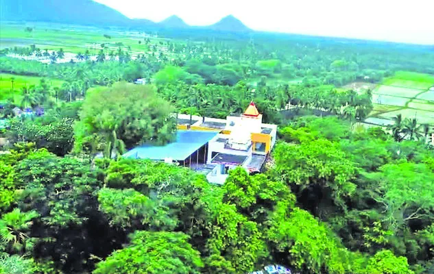 ఒడ్డి