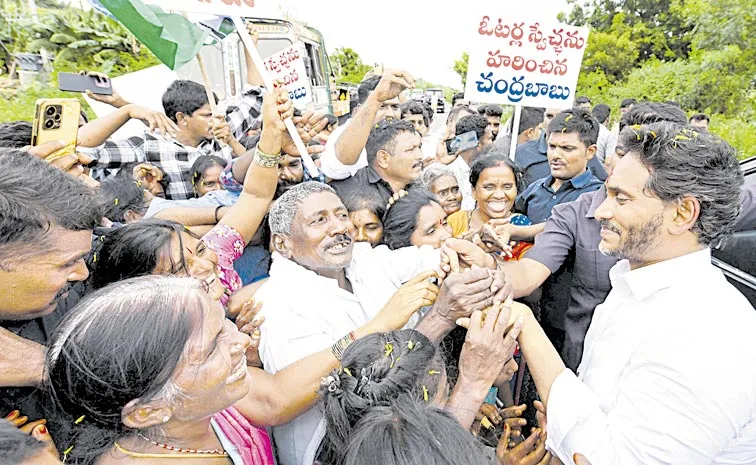 YS Jagan Serious Comments On Chandrababu: Andhra pradesh