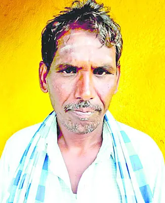 పెట్ట