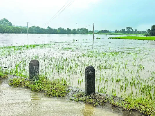 వర్షా