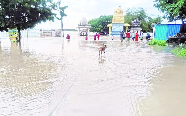 బీచుప