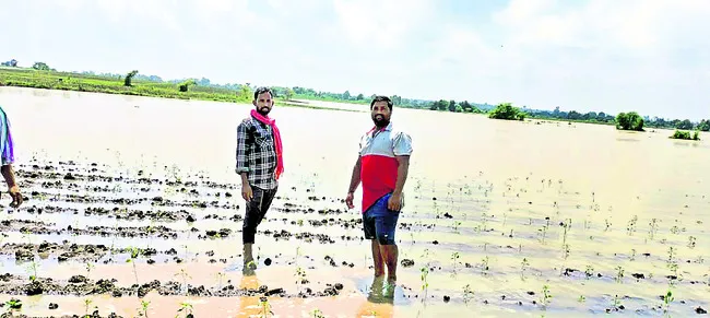 సద్దు