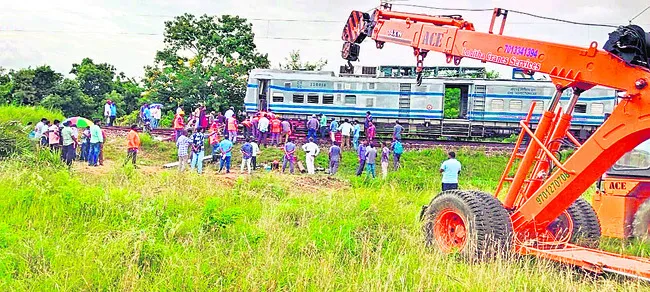 పట్టా
