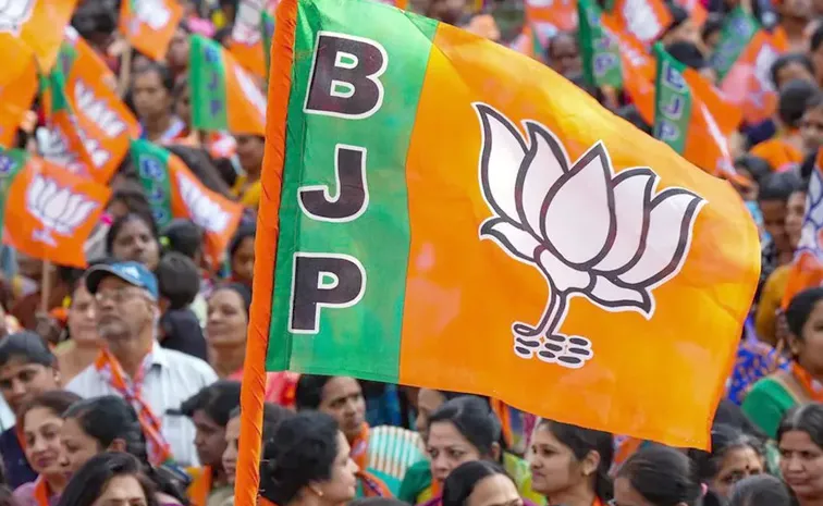 Story On BJP Trying To Strengthen In Tamilnadu