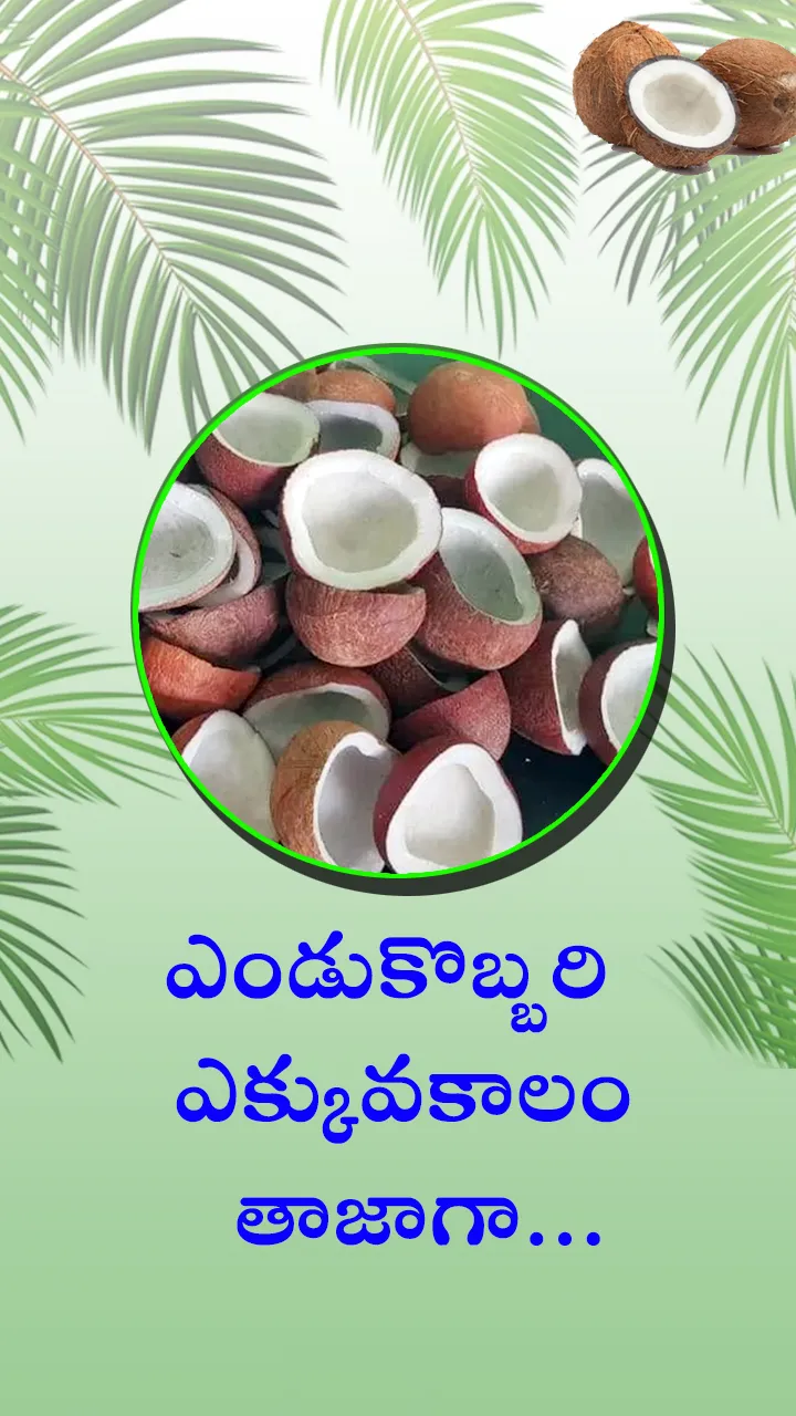 use this tips for fresh wet coconut for long