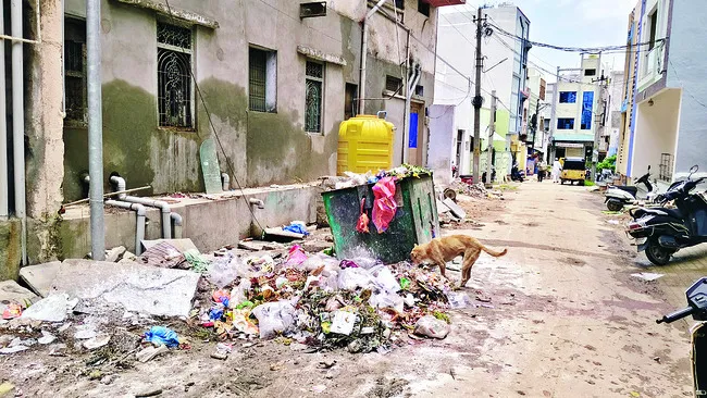 పేరుకుపోతున్న చెత్తాచెదారం