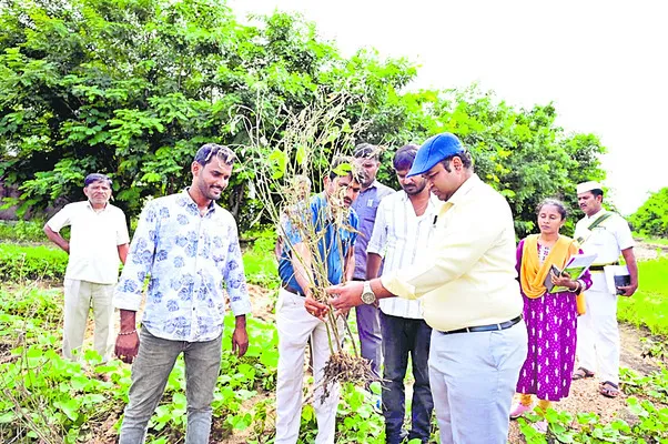 త్వరితగతిన నష్టం అంచనాలు