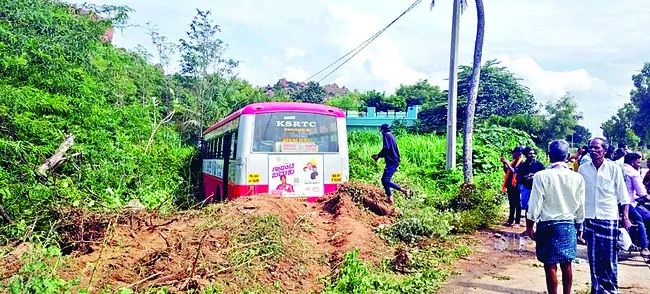 సస్యర