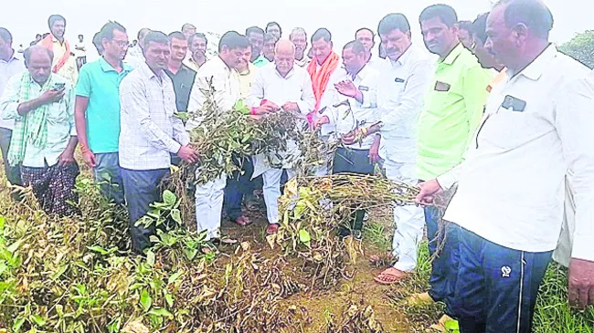 ఎమ్మె