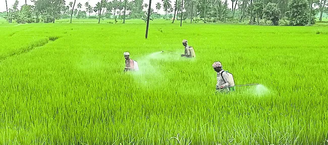 స్ప్ర